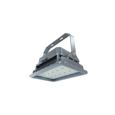 Gran oferta lámpara a prueba de explosiones 20-400w industria química Ip66 luz Led a prueba de explosiones gasolinera luz a prueba de explosiones