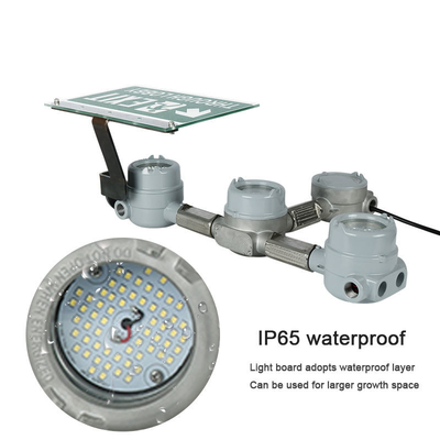 gasolinera a prueba de explosiones de la prenda impermeable de la industria química IP66 de la luz de emergencia de la salida de 3-6W LED
