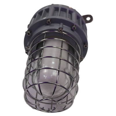 Nueva llegada Led Low Bay y Spot Light IP66Emergency Batería de respaldo hasta 3 horas Luz a prueba de explosiones SERIE G