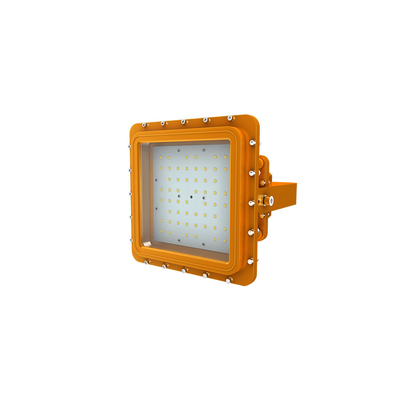 Led de luz industrial a prueba de explosiones IP66 a prueba de agua Ik10 Carcasa de aluminio Soporte de montaje de acero inoxidable SERIE D