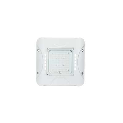 Retroadaptación del dosel de la luz LED del dosel de IP66 60W LED para la iluminación de la gasolinera